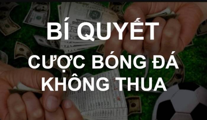 Hướng dẫn chi tiết cách cá cược Cửa trên/Cửa dưới (OU) Trong 10 Phút