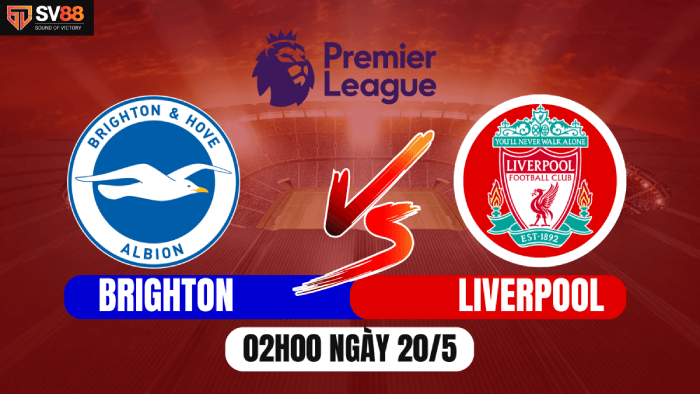 Soi kèo Brighton vs Liverpool – 02h00 – 20/5 – Ngoại hạng Anh